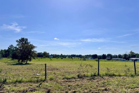 Land in Archer, Florida № 2225097 - photo 4