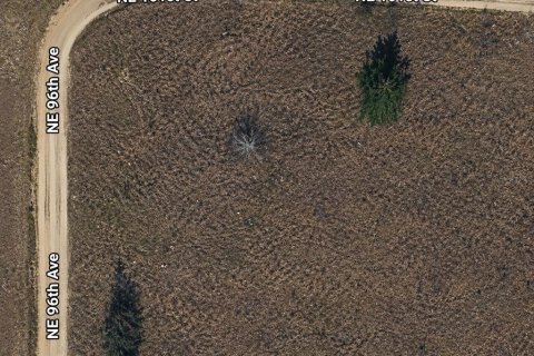 Land in Archer, Florida № 2225097 - photo 7