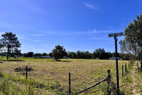 Land in Archer, Florida № 2225097 - photo 3