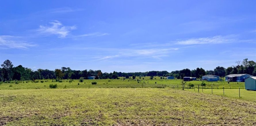 Land in Archer, Florida № 2225097