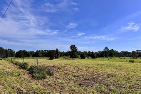 Land in Archer, Florida № 2225097 - photo 2
