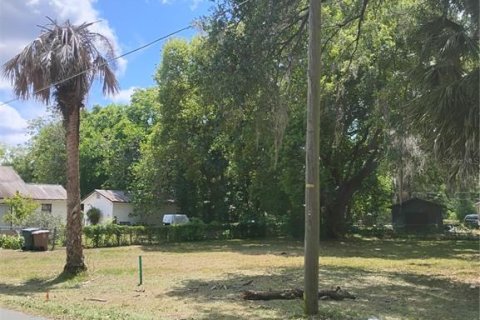 Land in Ocala, Florida № 2166225 - photo 2