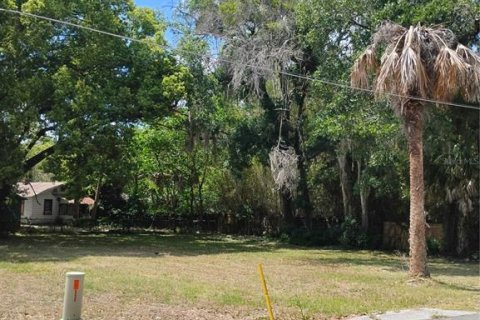 Land in Ocala, Florida № 2166225