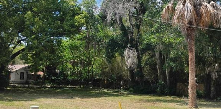 Land in Ocala, Florida № 2166225