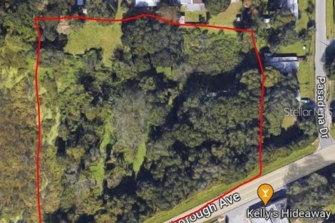 Terreno en venta en Seffner, Florida № 1540420 - foto 2