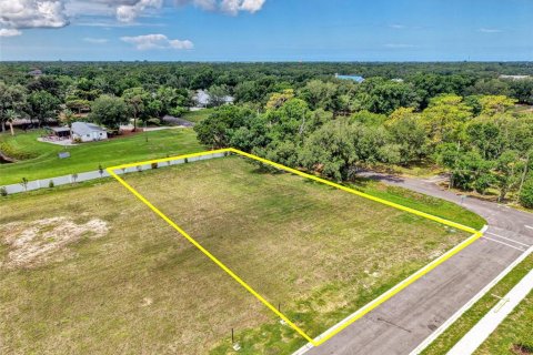 Land in Sarasota, Florida № 2148518