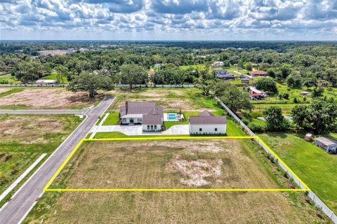 Land in Sarasota, Florida № 2148518 - photo 9