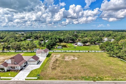 Land in Sarasota, Florida № 2148518 - photo 13