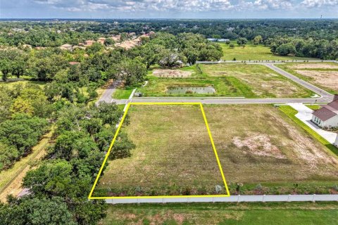 Land in Sarasota, Florida № 2148518 - photo 4