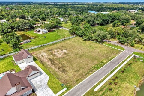 Land in Sarasota, Florida № 2148518 - photo 11