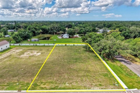Land in Sarasota, Florida № 2148518 - photo 2