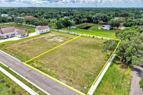 Land in Sarasota, Florida № 2148518 - photo 6