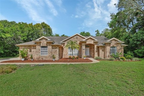 Villa ou maison à vendre à Deltona, Floride: 3 chambres, 206.52 m2 № 1903896 - photo 1