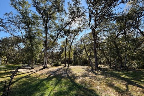 Casa en venta en Ocklawaha, Florida, 3 dormitorios, 128.86 m2 № 2097354 - foto 5