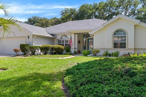 House in Palm Coast, Florida 4 bedrooms, 226.96 sq.m. № 2196385 - photo 3
