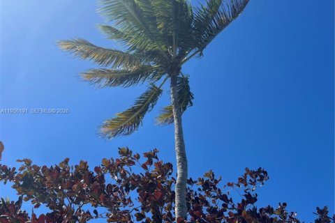 Adosado en alquiler en Miami Lakes, Florida, 1 dormitorio, 73.39 m2 № 2009987 - foto 6