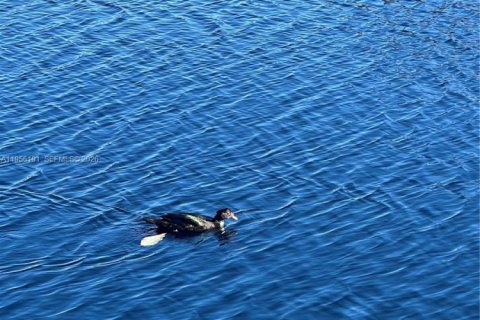 Adosado en alquiler en Miami Lakes, Florida, 1 dormitorio, 73.39 m2 № 2009987 - foto 15