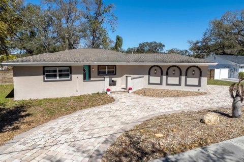 House in Tampa, Florida 4 bedrooms, 257.43 sq.m. № 2266452