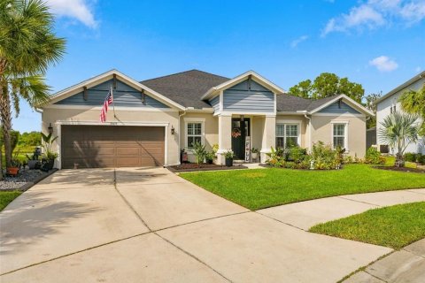 House in Wesley Chapel, Florida 4 bedrooms, 297.38 sq.m. № 2393699