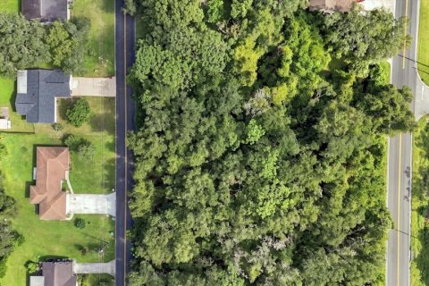 Land in Inverness, Florida № 2373552 - photo 9
