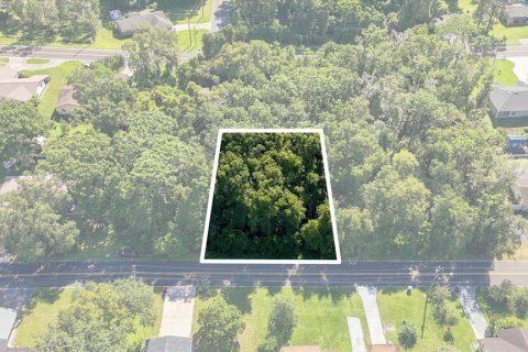 Land in Inverness, Florida № 2373552