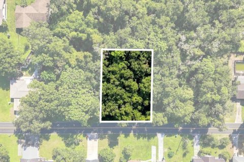 Land in Inverness, Florida № 2373552 - photo 2