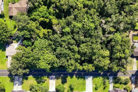 Land in Inverness, Florida № 2373552 - photo 8