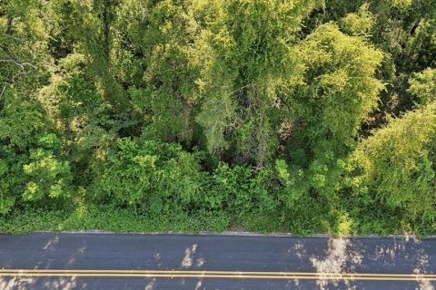 Land in Inverness, Florida № 2373552 - photo 4