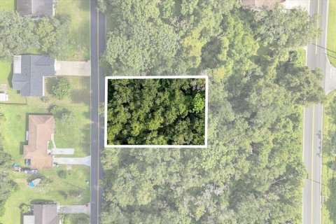 Land in Inverness, Florida № 2373552 - photo 3