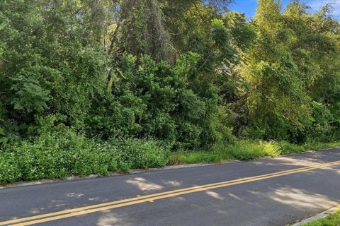 Land in Inverness, Florida № 2373552 - photo 6