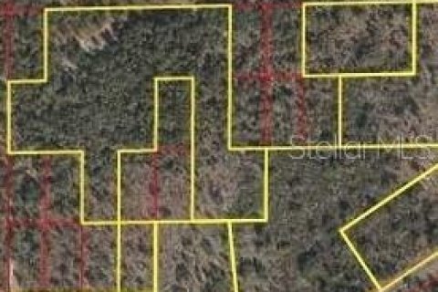 Land in Archer, Florida № 219037 - photo 2