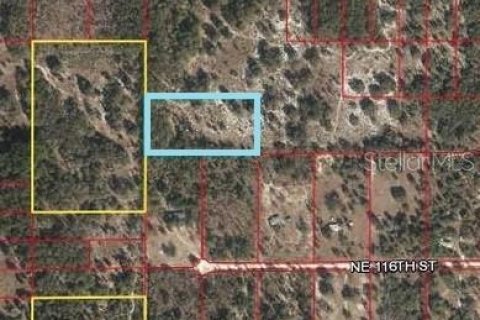 Land in Archer, Florida № 219037 - photo 8