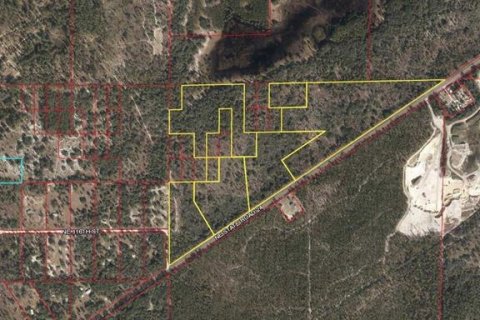 Land in Archer, Florida № 219037 - photo 1