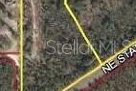 Land in Archer, Florida № 219037 - photo 4