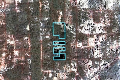 Land in Archer, Florida № 219037 - photo 9
