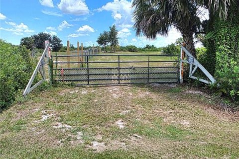 Land in Okeechobee, Florida № 1755486 - photo 2