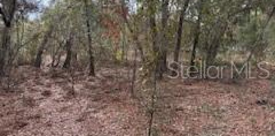 Terrain à Interlachen, Floride № 2159984