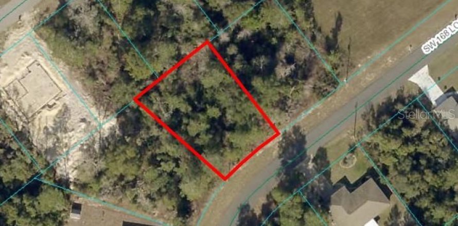 Land in Ocala, Florida № 1750965