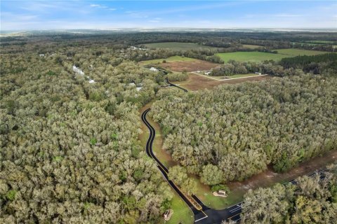 Terreno en venta en Fanning Springs, Florida № 1624979 - foto 20