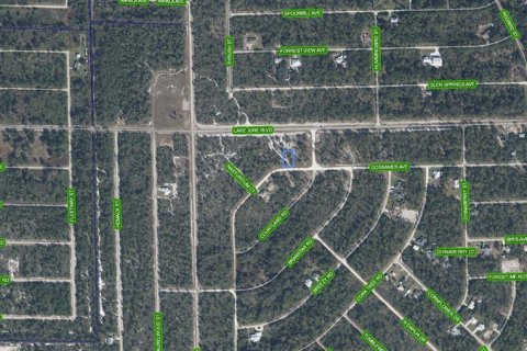 Land in Lake Placid, Florida № 2214404 - photo 3