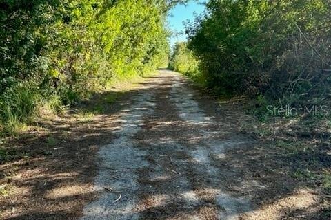 Land in Edgewater, Florida № 2144742 - photo 10