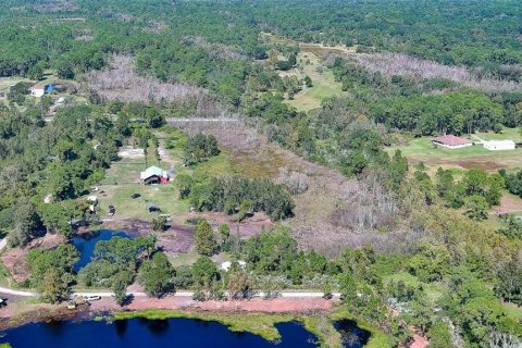 Land in Edgewater, Florida № 2144742 - photo 8