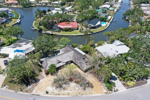 Land in Sarasota, Florida № 1648443 - photo 4