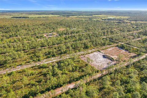 Land in Indian lake estates, Florida № 2272952 - photo 18