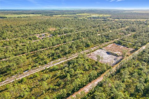 Land in Indian lake estates, Florida № 2272952 - photo 17