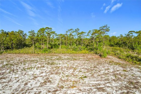 Land in Indian lake estates, Florida № 2272952 - photo 21