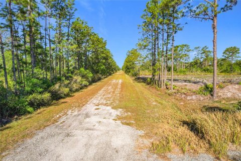 Land in Indian lake estates, Florida № 2272952 - photo 20