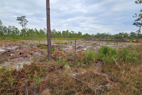 Land in Indian lake estates, Florida № 2272952 - photo 2