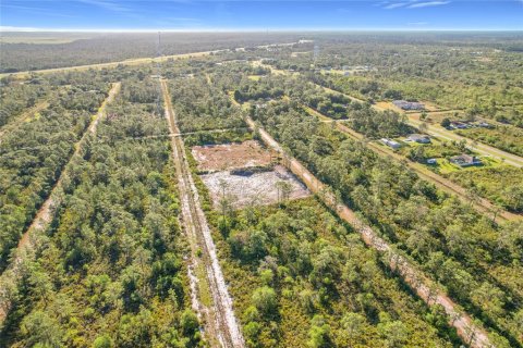 Land in Indian lake estates, Florida № 2272952 - photo 24
