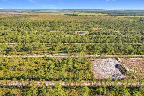 Land in Indian lake estates, Florida № 2272952 - photo 19